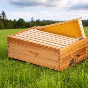 MayBee Hives Unassemble 8/10 Frame Medium Super Bee Box with Waxed Foundations, Durable New Zealand Pine Frames & Natural Honey-Colored Foundations Exterior Durability Beehive