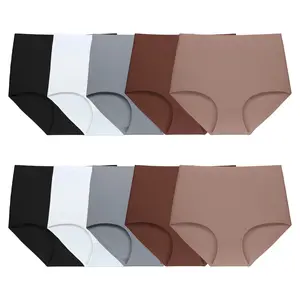 FallSweet 10 PCS No Show Underwear for Women High Waist Seamleass Briefs Panties