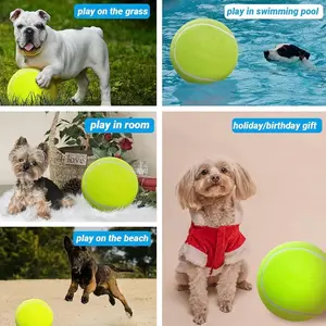 9.5" Inflatable Rubber Dog Toy Ball with Pump & Needle - Ideal for Small Medium Pets - Funny Outdoor Toy for Playful Pups Training