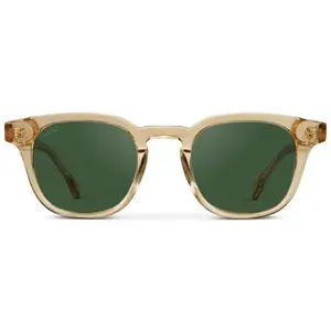 Clark Sunglasses - WMP Eyewear
