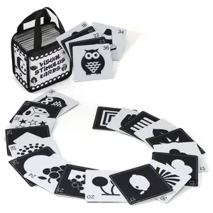 Baby Visual Flash Cards Set, Newborn 0-3 Months, Colorful Toys, Cognitive Development, Unisex Baby Toy, Easter Birthday Gift