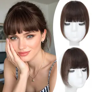 100% Human Hair French Style Clip In Bangs for Women, 11g Face-Framing Layered Fringe Hairpiece, Easy Clip-in Styling for Daily Wear and Special Occasions