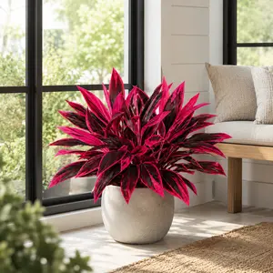2 Pcs UV-Resistant Artificial Red Cordyline (Faux Dracaena) Tropical Plants, Large Decorative Outdoor Decor for Porch, Balcony & Home Office Plant Accents