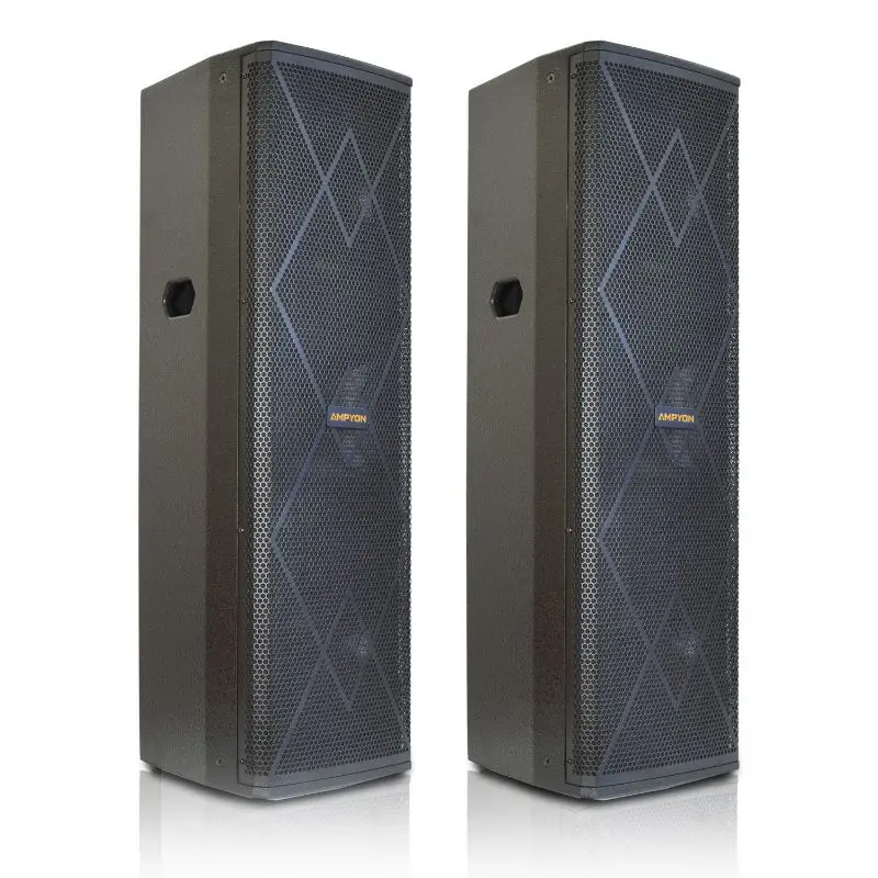 Ampyon LS-10EX Durable Professional Karaoke Speaker for Home, Party Use, Metal