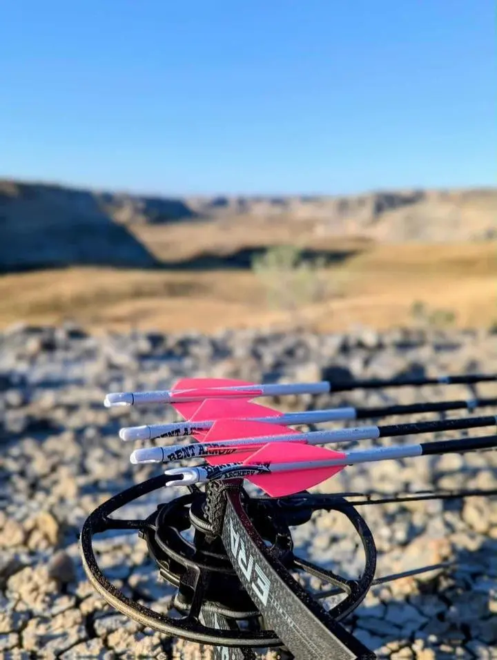 Easton Match 5.0 Custom Made Hand Fletched Match Grade 6 arrows