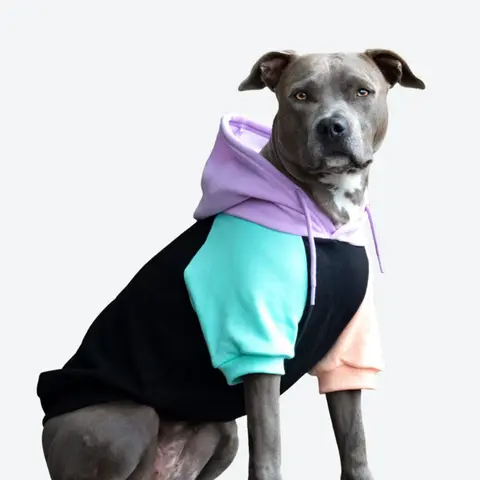 Spark Paws Color Block Dog Hoodie - Dog Sweater Sweatshirt Clothes for Large Dogs Puppy | Warm Fleece-Lined Outfit, 4-Way Stretch, Sizes Small to 5XL, Fit Tested on French Bulldog, Frenchie & Pitbull