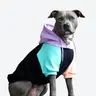 Spark Paws Color Block Dog Hoodie - Dog Sweater Sweatshirt Clothes for Large Dogs Puppy | Warm Fleece-Lined Outfit, 4-Way Stretch, Sizes Small to 5XL, Fit Tested on French Bulldog, Frenchie & Pitbull
