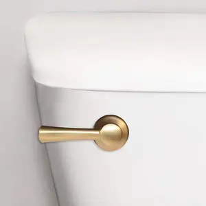 StrongARM Toilet Handle and Lever - Fits Front, Side, Angled, Left, and Right Mount Toilets - Brushed Gold, Simple Style
