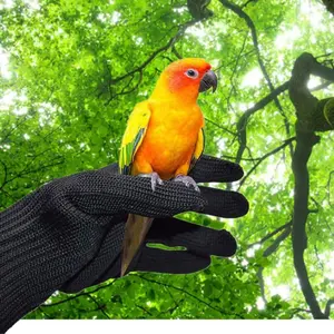 Bird Training Anti-Bite Glove, Small Animal Protection, Suitable for Pet Squirrels, Hamsters, Parrots, Cockatoos, Finches, Macaws