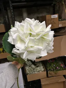 22.25" Hydrangea Spray  White