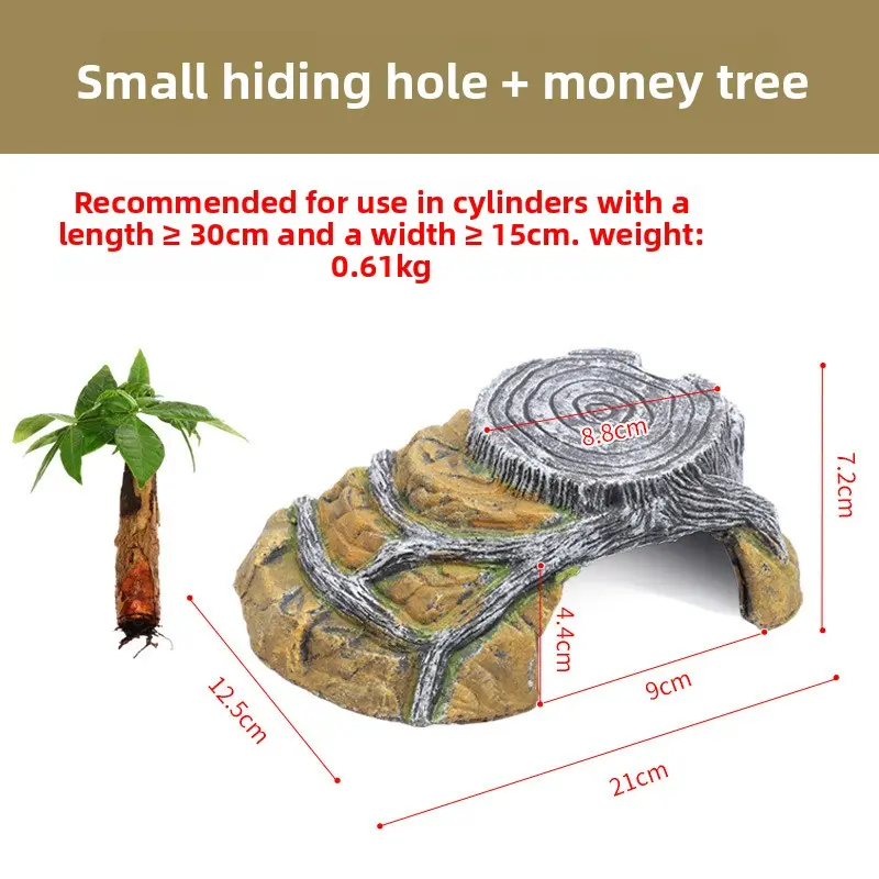 [Sun Platform] Small Size + Money Tree