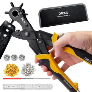 2 in 1 Leather Hole Punch Eyelet Tool Kit, 3/16" 4.5mm Metal Eyelets for Fabric, Hole Puncher, Eyelet Pliers for Shoes Leather Clothes Belt