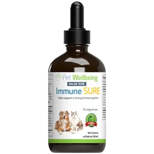 Pet Wellbeing Immune Sure for Dogs - Supports Normal Immune Defenses, Gut Flora Balance, Andrographis, Echinacea, Vitamin C, Zinc - Veterinarian-Formulated Herbal Supplement 2 oz (59 ml)