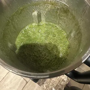 Product Review of KIDISLE 8-in-1 Multifunctional Nut Milk & Coffee Maker 32oz Auto Clean Delay Start Keep Warm Stainless Steel Black/White Kitchen Appliance Christmas Gift from A**y