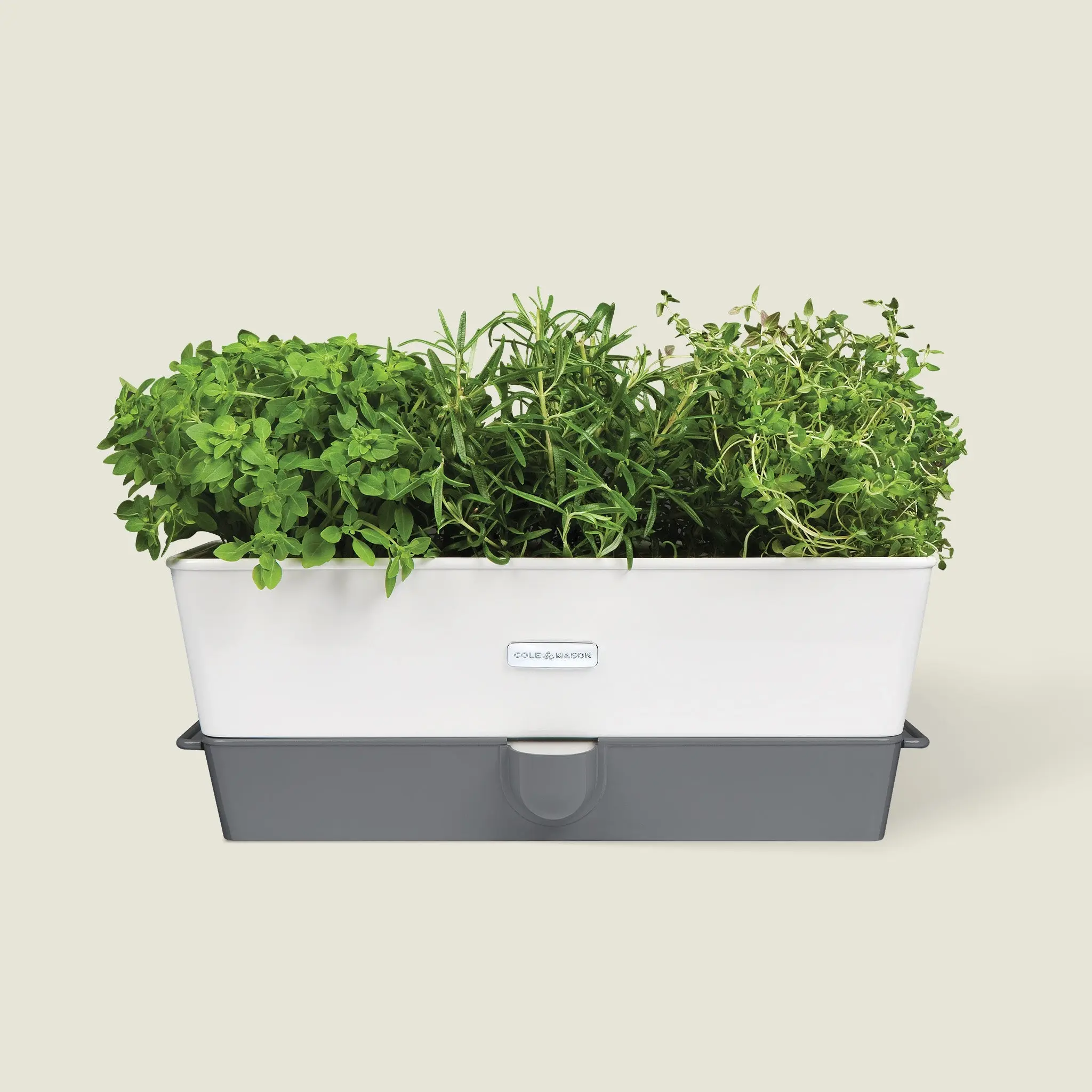 Cole & Mason Burwell Self-Watering Modern Plant Pot, Herb Keeper for Home & Garden Use, Home Decor Pots, Plant Decor