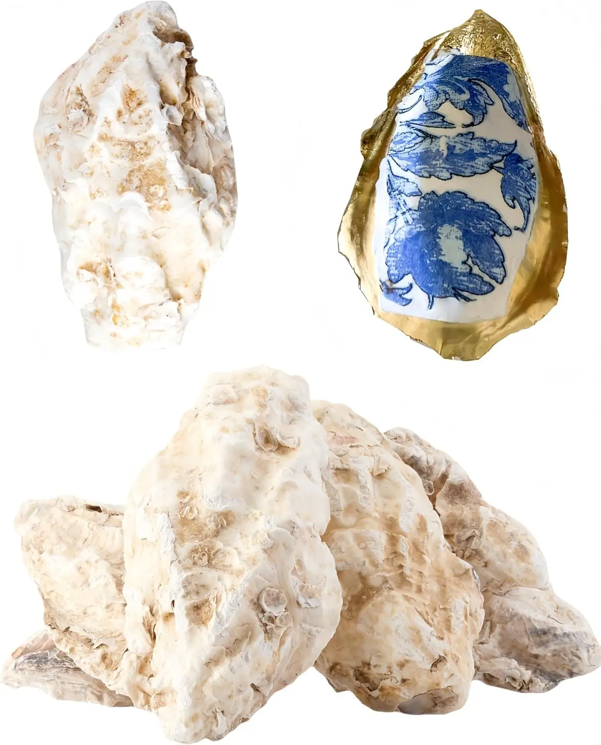 10Pcs Extra Large Oyster Shells for Crafts （ 5"-6"）, Oyster Shell for Crafting、Painting、Wedding、Christmas、Beach Theme Decor， and Clean、Odor-Free Sea Shells for Crafting