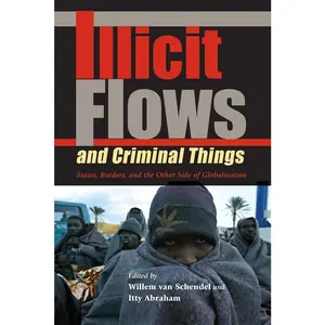 USED-Illicit Flows and Criminal Things: States, Borders, and the Other Side of Globalization (Paperback)