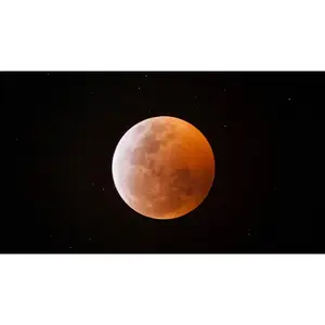 Harvest Moon Diffuser