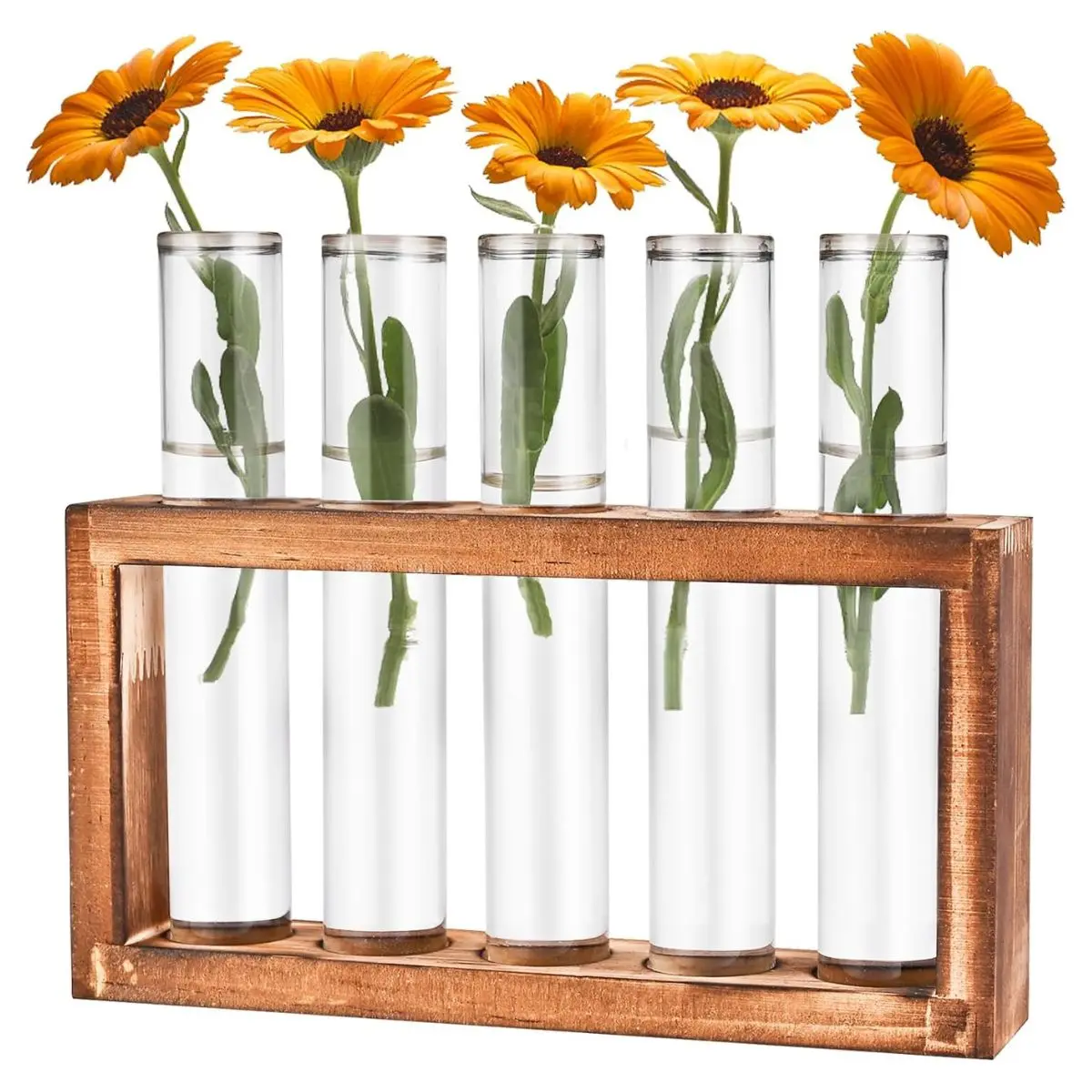 Glass Plant Propagation Station – 5 Tube Wooden Stand Hydroponic Vase for Plant Cuttings & Home Decor