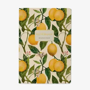 Beautiful Notebooks Perfect for Journaling