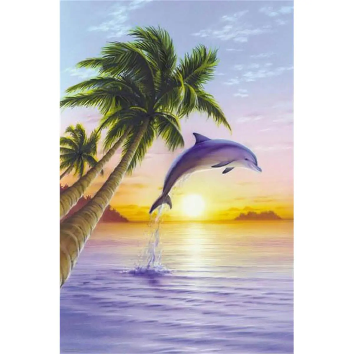 2584-24x36-AN Dolphin Sunrise Poster