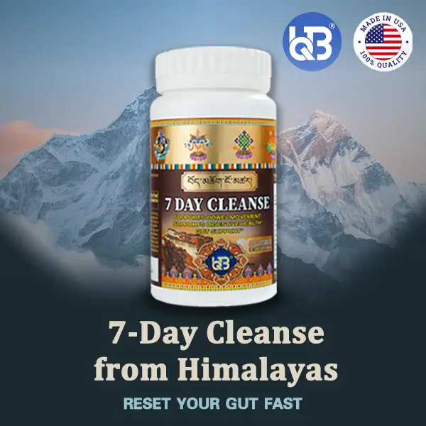 UQB 7 Day Cleanse - 60 Capsules for Bloat Relief & Gut Support - Herbal Balance for Digestion & Metabolic Health - Natural Healthcare Supplement