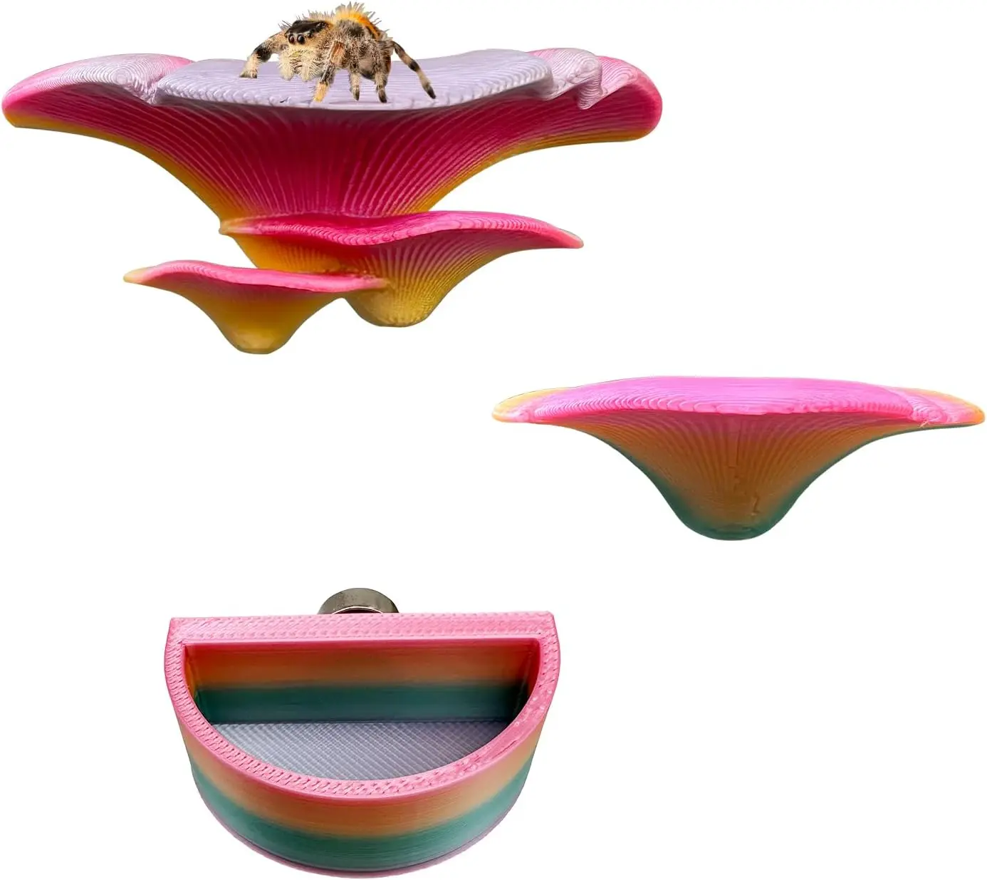2 Pack Jumping Spider Accessories Mushroom Ledges & 1 Pack Water Bowl with  for Spoods Jumping Spiders  Ledge Ladder Pet Spider Accessories (Not Included The Terrarium) (colorful)
