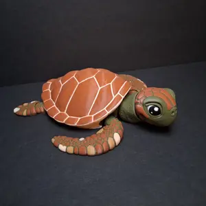 Sea Turtle