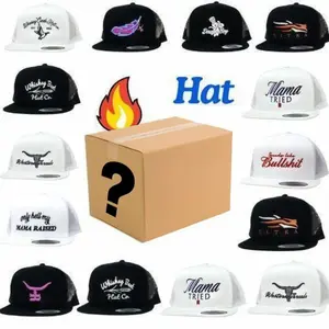 [HOT SUMMER DEALS] One Hats Box hat Sent, Embroidered Hat Mama Tried, Whiskey Creek, Feathered Outlaw, Standing on Snapback Hat, Outdoor Cap Gift Box for Men & Women