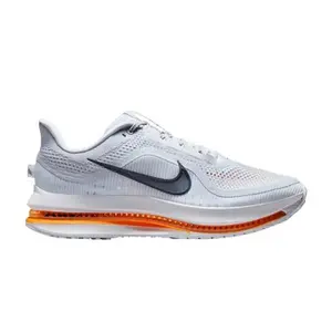 Nike Pegasus Premium 'Airscape'