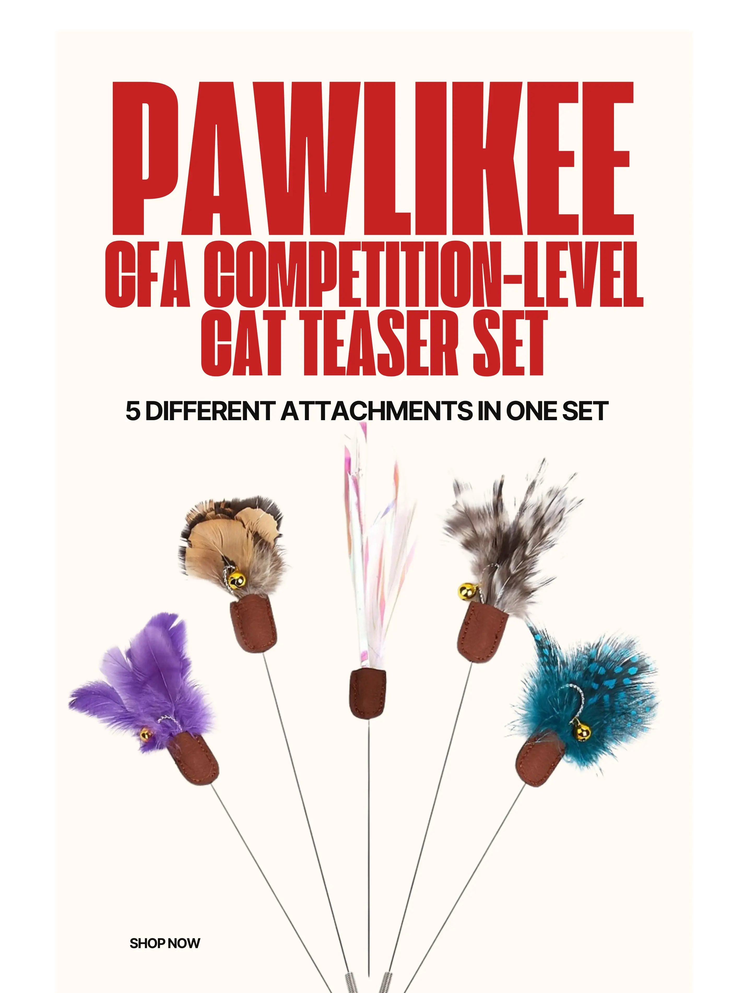 PawLikee CFA Interactive Cat Teaser Wand Set for Kittens - Extendable Carbon Fiber Rod, Easy Plug-and-Swap Heads, 5 Natural Feather Attachments to Ignite Hunting Instincts