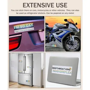 Hugexpen 10 Pcs Bumper Decals Funny LGBT Stickers Rainbow Bumper Prank Car Stickers Colorful Car Accessories for Truck Vehicle Luggage Window Refrigerator
