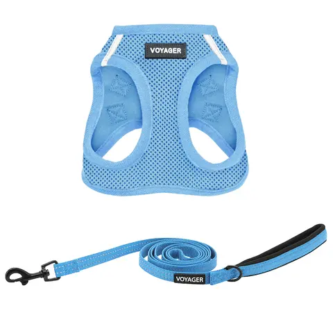 Voyager Step-In Air Dog & Cat Harness and Leash Set No Pull - Breathable Mesh Vest with 5ft Reflective Neoprene Leash for Small Medium Dogs & Cats - Adjustable, Easy Step-In by Best Pet Supplies