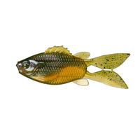 4K Bluegill