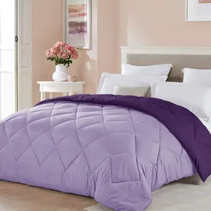Twin XL Size Light Purple Comforter Plum Lavender Reversible Lightweight Girls Cooling Bedding College Dorm Bedspread Spring Blanket