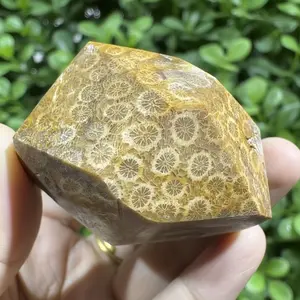 Coral Jade Unique Versatile Crystal Decorative Gemstone, Energy Relaxation Jewelry for Meditation Spiritual Growth, New Year Gift