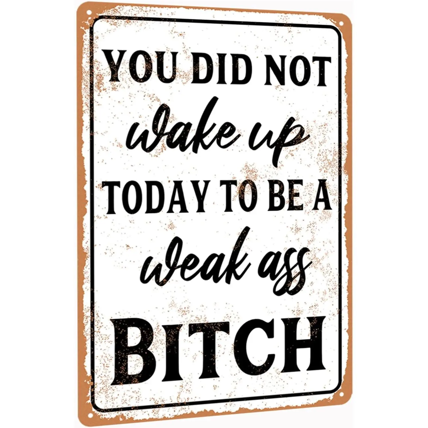 Funny Gym Tin Sign Home Gym Decor Home Gym Accessories Workout Room Decor Gym Signs For Home Gym You Did Not Wake Up Today To Be A Weak Ass Bitch Motivational Wall Art Decorations Gym Room Decor 8X12 Inch