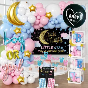 Twinkle Twinkle Gender Reveal Kit – 191-Piece Complete Decor Set with Balloon Arch, Backdrop, Games & Cupcake Toppers