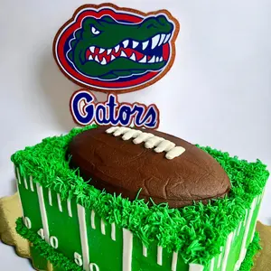 Gators Cake Topper - Green Football Cake Topper with "Gators" Text and "Do Not Disturb" Design, Ideal for Party Decor
