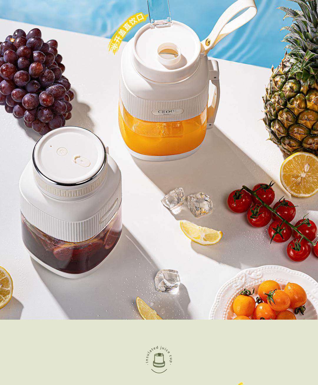 CEool Portable Blender, Cordless Personal Juicer Cup, Multifunctional Fruit & Ice Crushing Blender for Home and Travel