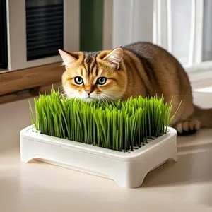 Cat Grass Planting Kit, Hydroponic Indoor Herb Garden, No Seeds Included, Odor Control System, Easy Maintenance, Fresh Cat Grass