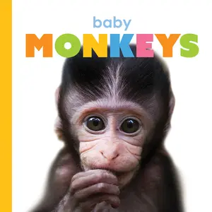 Baby Monkeys (Board Book)