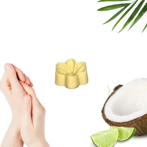Hippotanicals Coconut Lime Lotion Bar, Zerowaste, Biodegradable, Plant-Based, Handmade, Organic, Flower Shape Body Care Product
