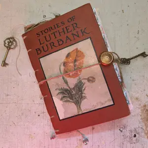 Burbank Plant School Junk Journal