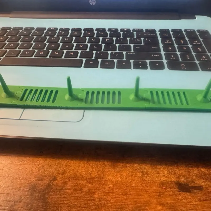 Duck holder