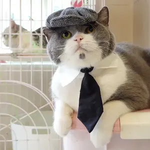 Dapper Pet Gentleman Hat & Tie Set - Adorable Cosplay, Photo Prop & Halloween Costume for Cats & Small Dogs