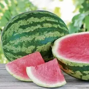 Watermelon seed - Triple Crown, RED  (Seedless)