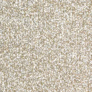 Champagne Glitter HTV
