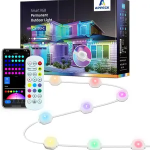 Appeck Permanent Outdoor Lights