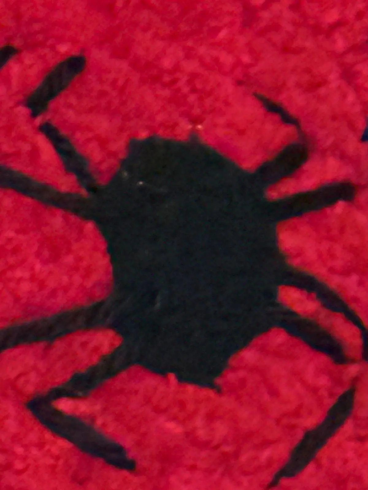 spider- guy
